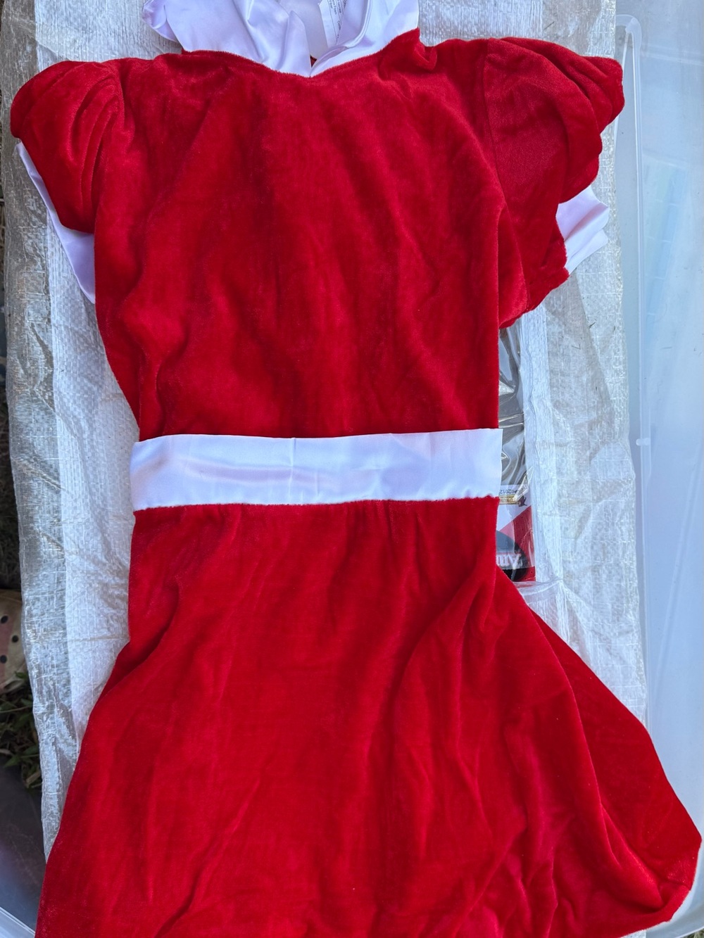 Annie Red Velvet Dress with White Waistband